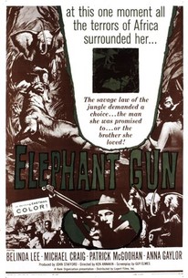 Watch trailer for Elephant Gun