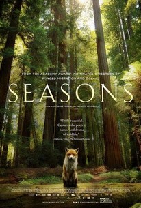 Watch trailer for Seasons