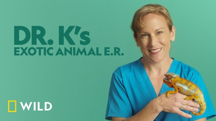 Dr k exotic animal hospital sales
