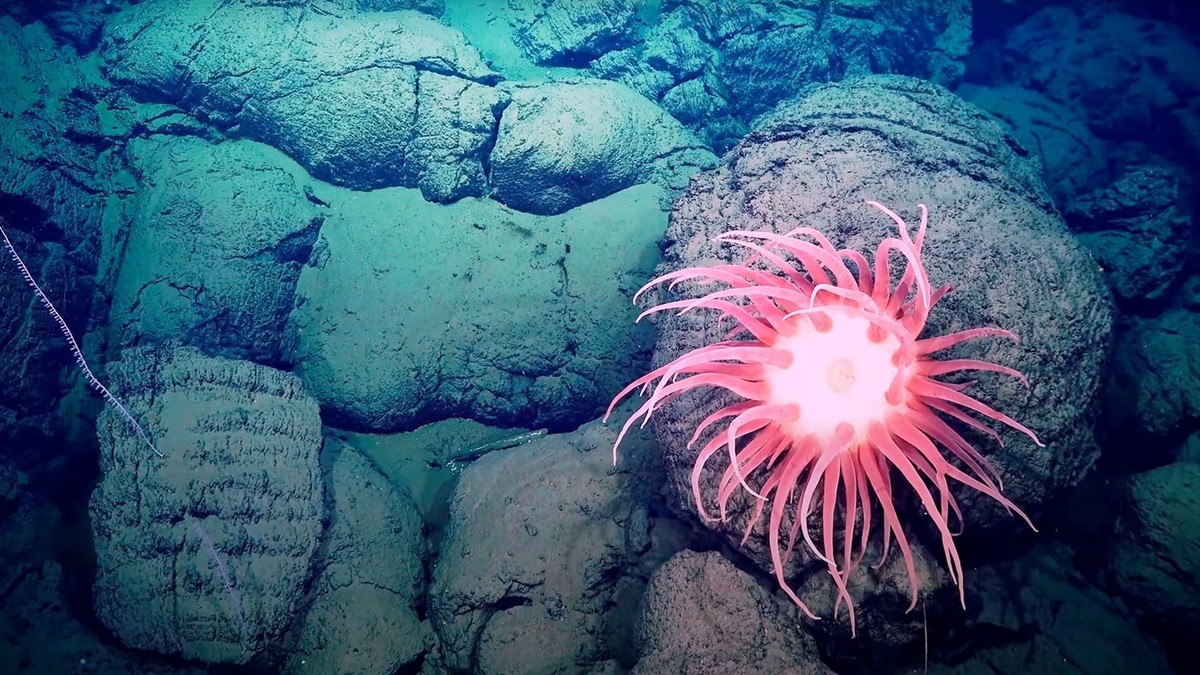 Deep Rising | MovieTickets