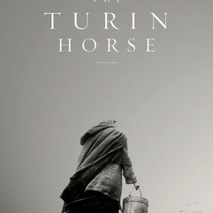 The Turin Horse photo 3