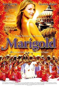 Marigold poster