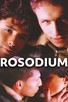 Poster for