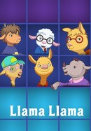 Llama Llama poster image