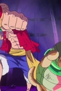 One Piece Season 16 Episode 50 Rotten Tomatoes