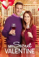 My Secret Valentine poster image