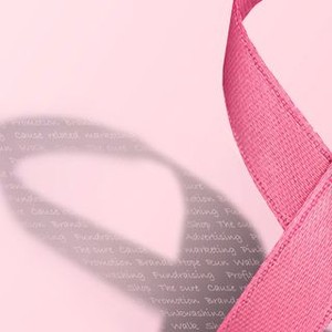 Pink Ribbons, Inc. photo 15