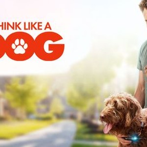 Think like hot sale a dog fmovies