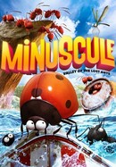 Minuscule: Valley of the Lost Ants poster image