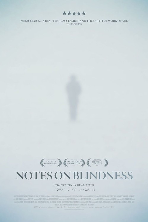 Notes on Blindness poster