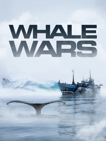 (未使用･未開封品)Whale Wars: Season 1 [DVD] Amazon.com: Whale Wars: Season 1 [DVD] : Movies & TV