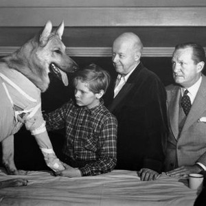 FOR THE LOVE OF RUSTY, from left, Flame the dog, Ted Donaldson, Aubrey Mather, Tom Powers, 1947