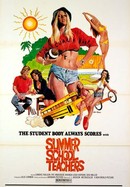 Summer School Teachers poster image