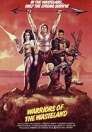 Warriors of the Wasteland poster image