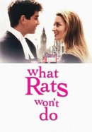 What Rats Won't Do poster image
