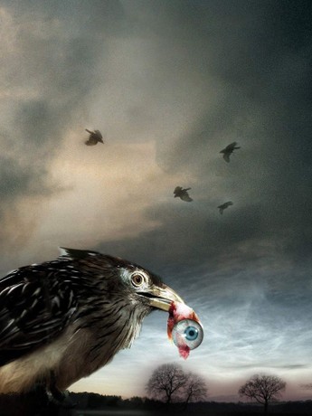 Watch flu bird horror online free hot sale
