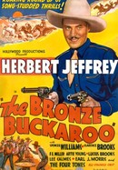 The Bronze Buckaroo poster image