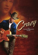 Crazy poster image