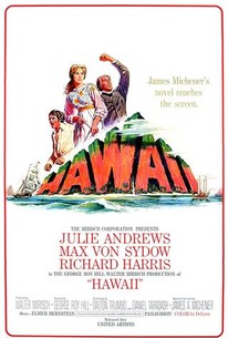 Hawaii poster
