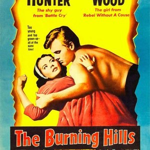 The Burning Hills: A Novel [Book]