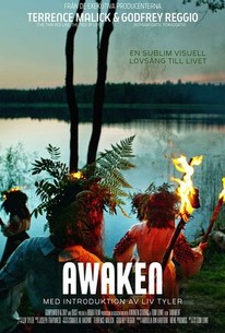 Awaken (2018) - Rotten Tomatoes