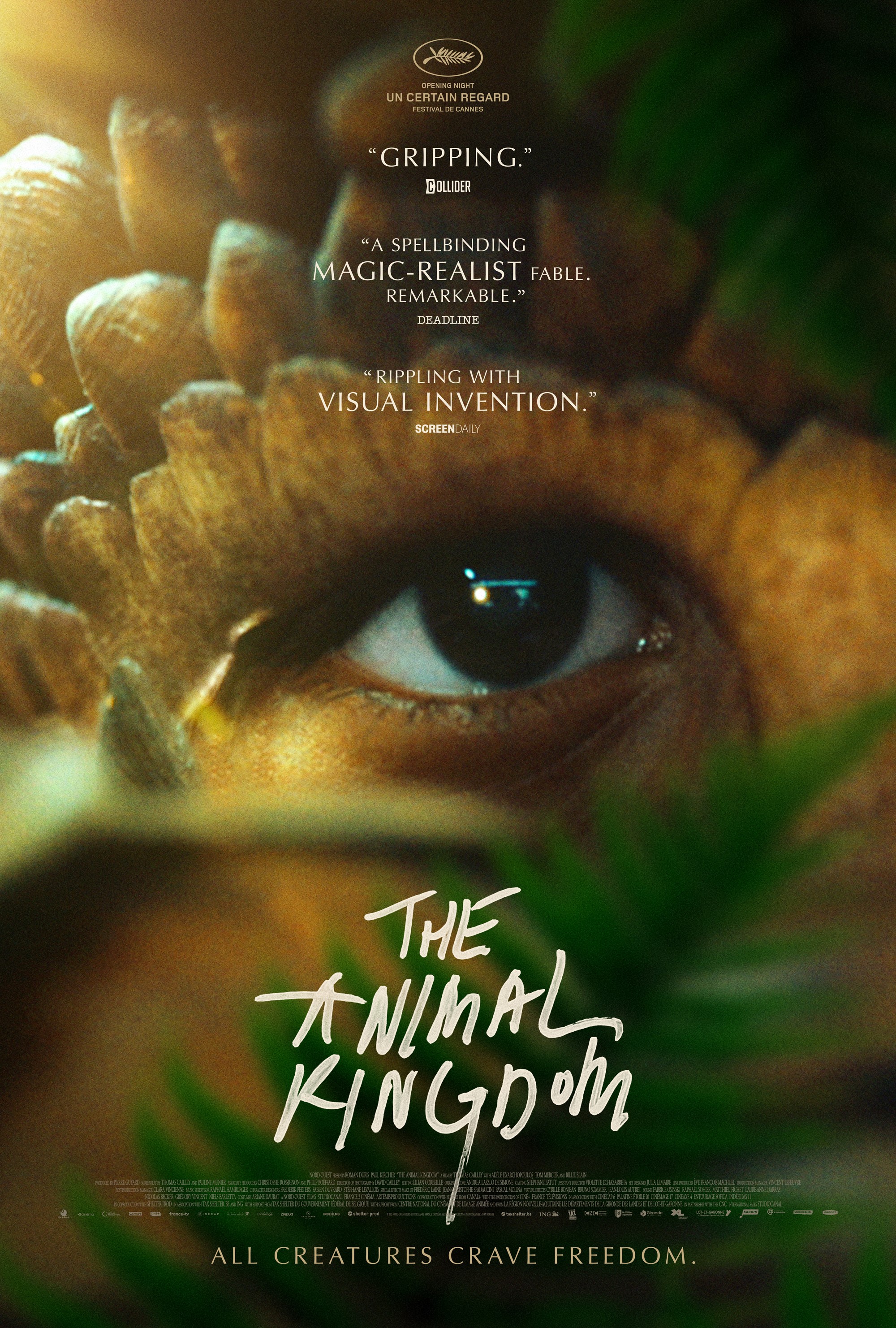 The Animal Kingdom | Rotten Tomatoes