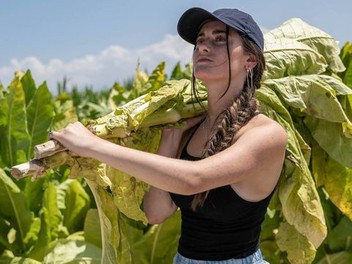 vapes and tobacco 144th VAPES AND TOBACCO - Updated July 2026 - 1830 N 144th St, Omaha, Nebraska -  Tobacco Shops - Phone Number