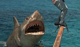 Jaws: The Revenge: Official Clip - The Beast Comes Back photo 3