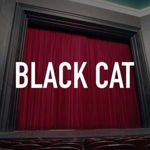Black Cat photo 1