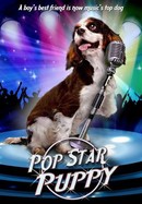 Pop Star Puppy poster image