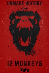 12 Monkeys Season 1 Rotten Tomatoes
