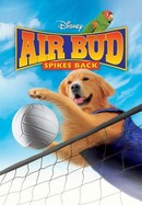Air Bud: Spikes Back poster image