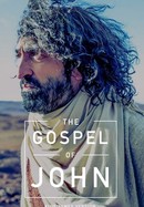 The Gospel of John: King James Version poster image