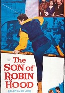 Son of Robin Hood poster image