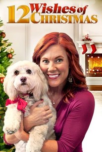 Watch trailer for 12 Wishes of Christmas