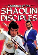 Challenge of the Shaolin Disciples poster image