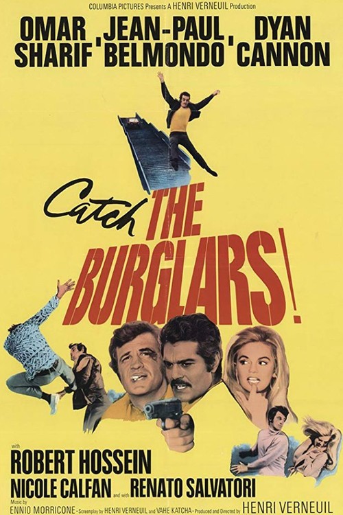 The Burglars poster