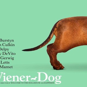 Wiener-Dog photo 19