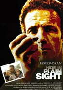 Hide in Plain Sight poster image