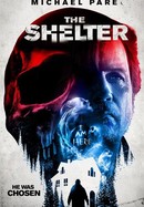 The Shelter poster image