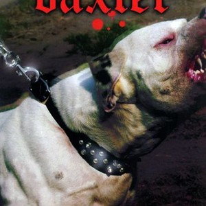 "Baxter photo 2"