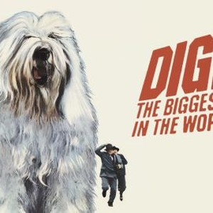 Digby, the Biggest Dog in the World photo 4