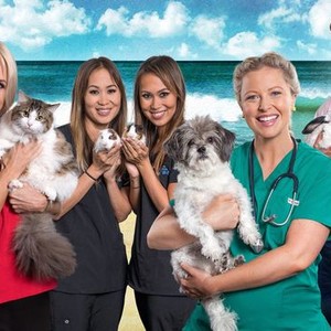 Bondi Vet: Season 5, Episode 15 - Rotten Tomatoes
