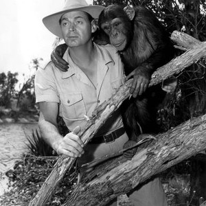 VOODOO TIGER, Johnny Weissmuller, Tamba the chimp, 1952