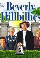 The Beverly Hillbillies poster image