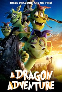 A Dragon Adventure 2019 Rotten Tomatoes