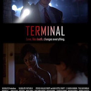 The Terminal - Rotten Tomatoes