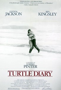 Turtle Diary poster