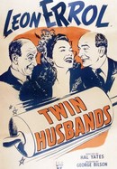 Twin Husbands poster image
