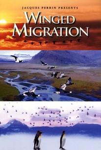 Poster for Winged Migration